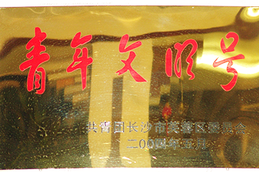 青（qīng）年（nián）文明號
