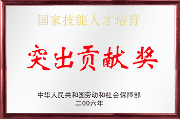 突出貢獻（xiàn）獎（jiǎng）