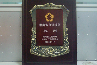 湖南省自強模範 祝剛
