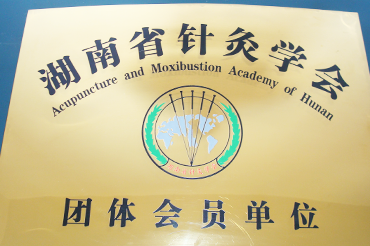 湖南省針灸學會