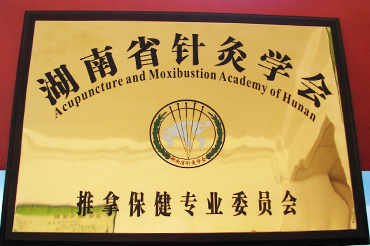 湖南省針灸學會